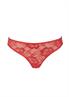 After Eden Anna string lace